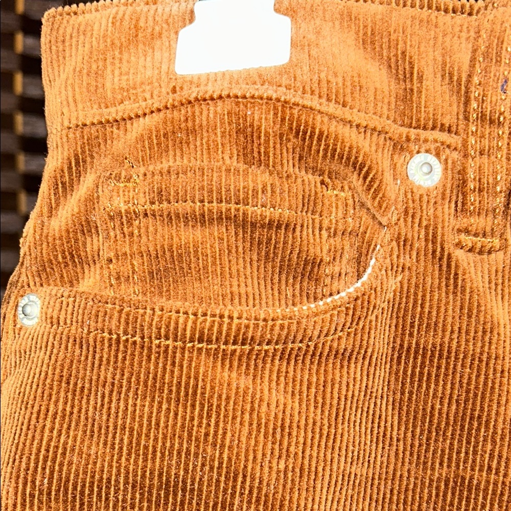 NWT BR Brown Corduroy Pants, size 28 - Picture 6 of 11